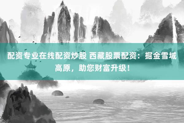 配资专业在线配资炒股 西藏股票配资：掘金雪域高原，助您财富升级！