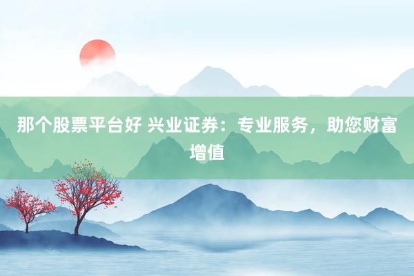 那个股票平台好 兴业证券：专业服务，助您财富增值
