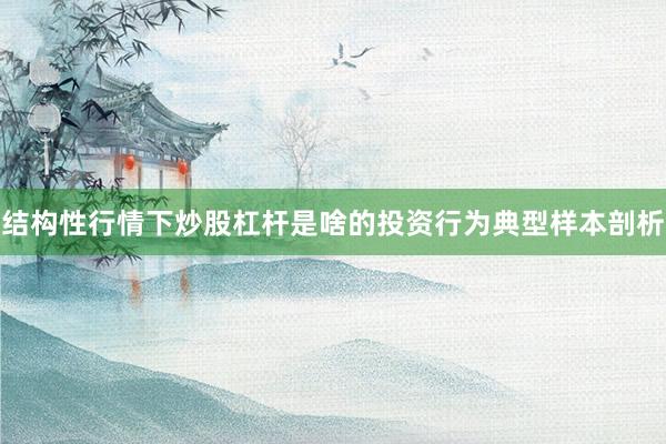 结构性行情下炒股杠杆是啥的投资行为典型样本剖析