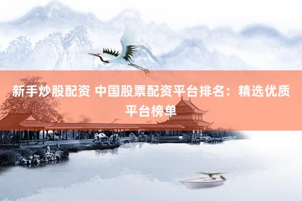新手炒股配资 中国股票配资平台排名：精选优质平台榜单