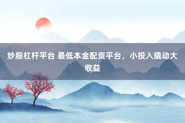 炒股杠杆平台 最低本金配资平台，小投入撬动大收益